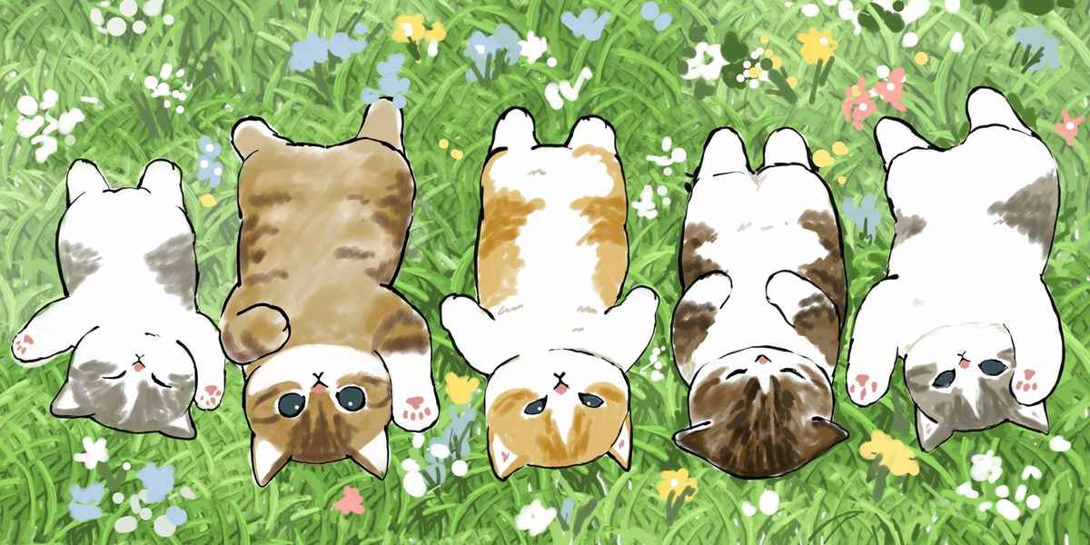 Hình Nền Mèo Cute 10