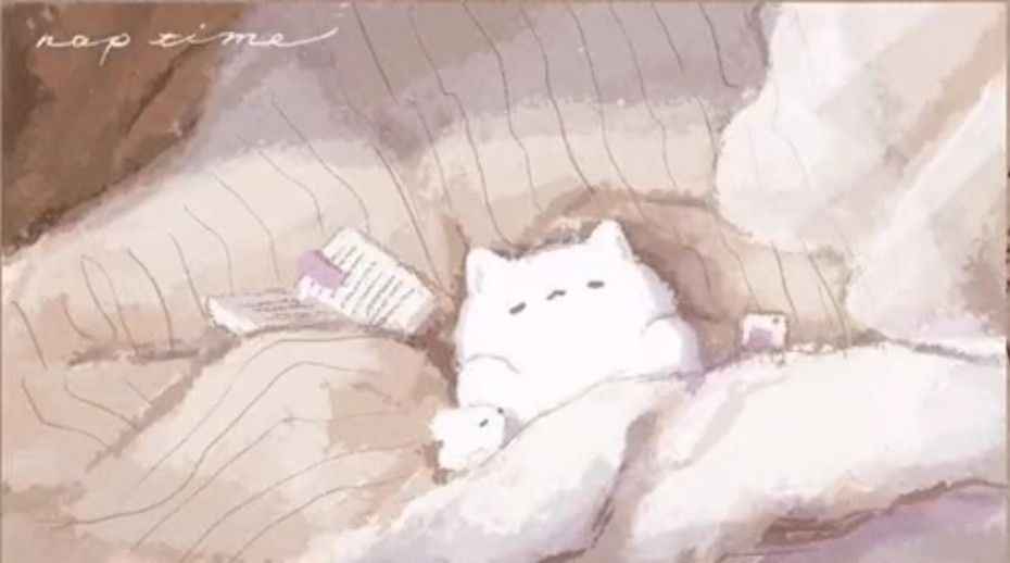 Hình Nền Mèo Cute 6
