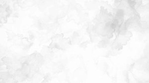 983+ Nền Trắng Tuyệt Đẹp Cho Mọi Ý Tưởng Thiết Kế Của Bạn