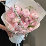 Mê Mẩn Với 248+ Hình Ảnh Hoa Mẫu Đơn Đẹp Nức Lòng