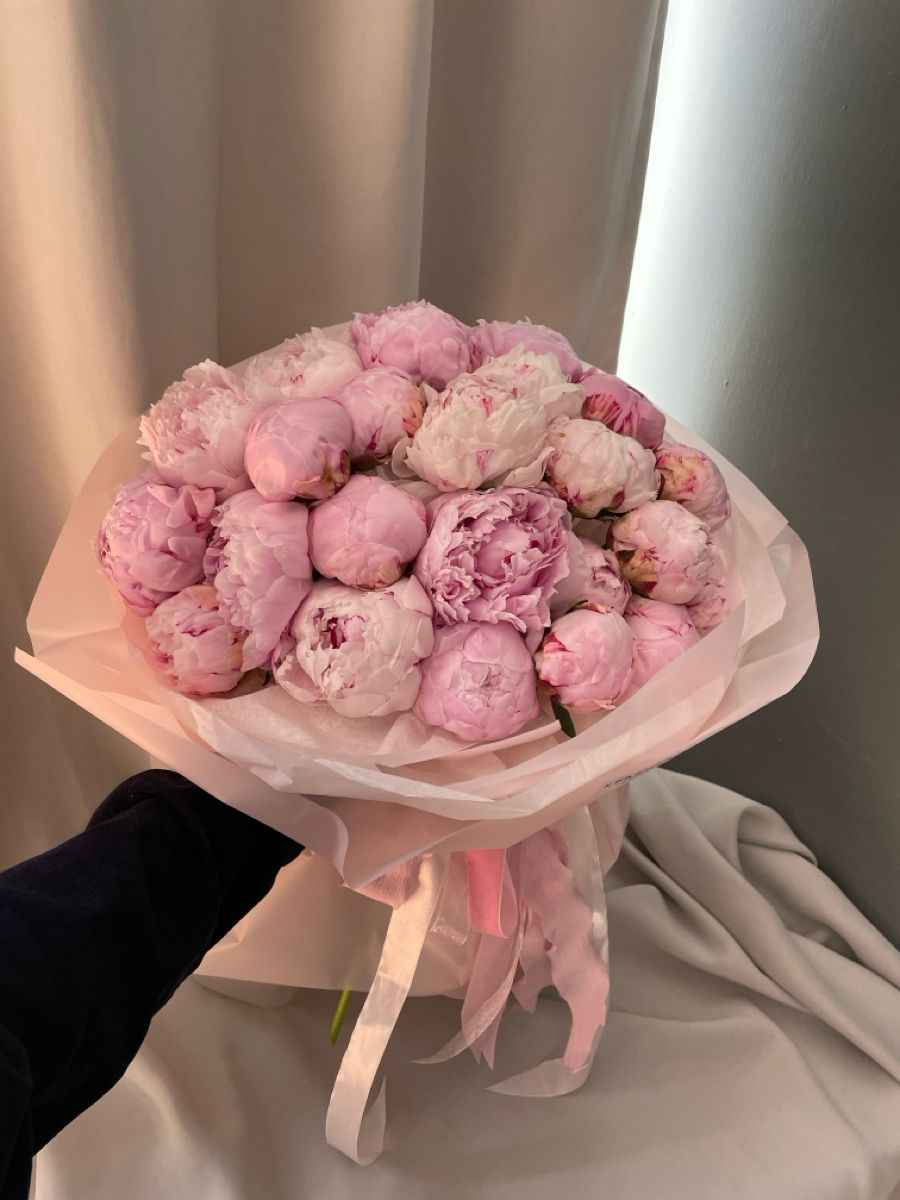Hoa Mẫu Đơn 10