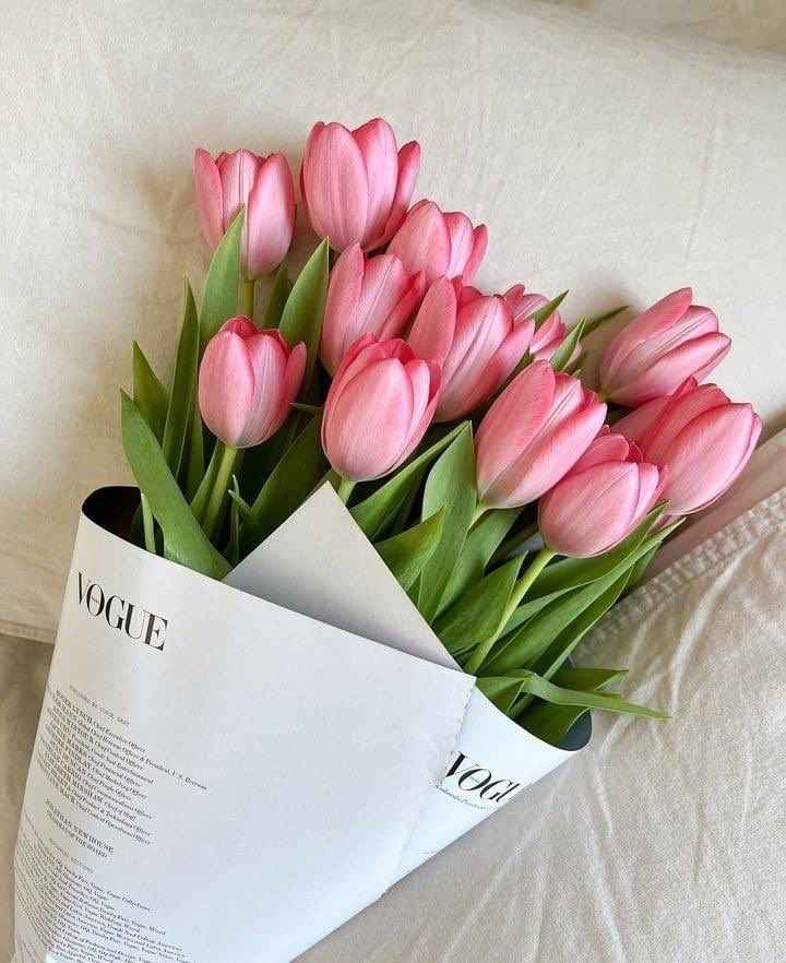 Hoa Tulip 13