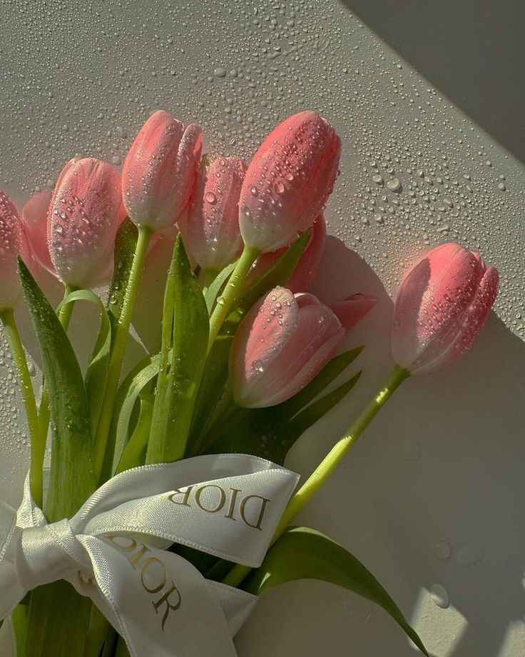 Hoa Tulip 2