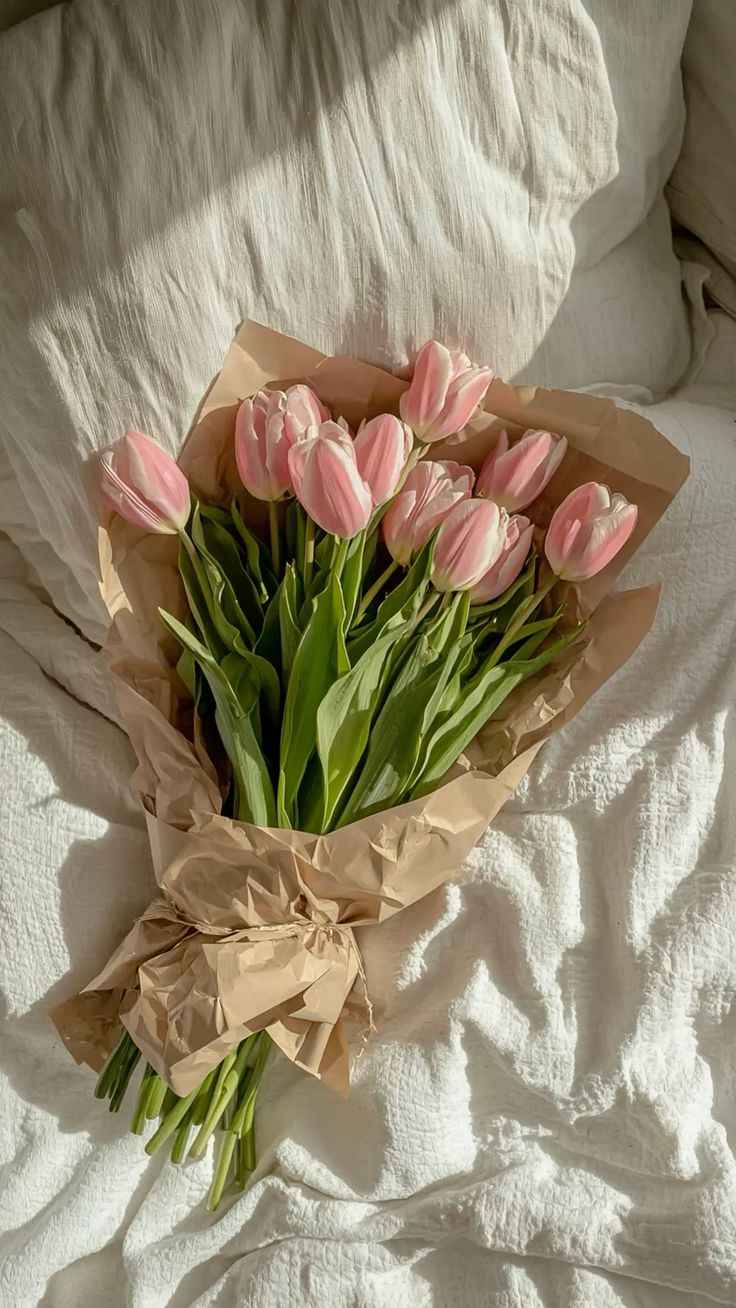 Hoa Tulip 11