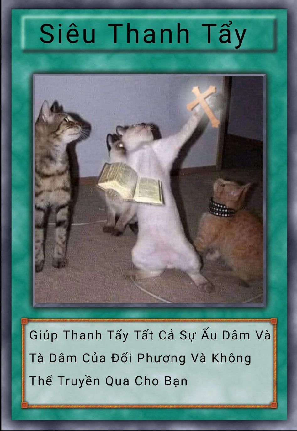 Lá Bài Meme 13