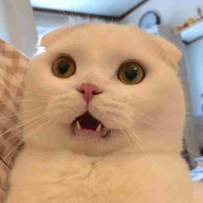 Meme Bất Ngờ 14