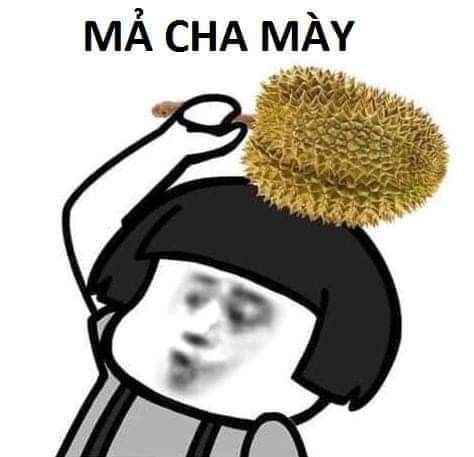 Meme Chửi 7