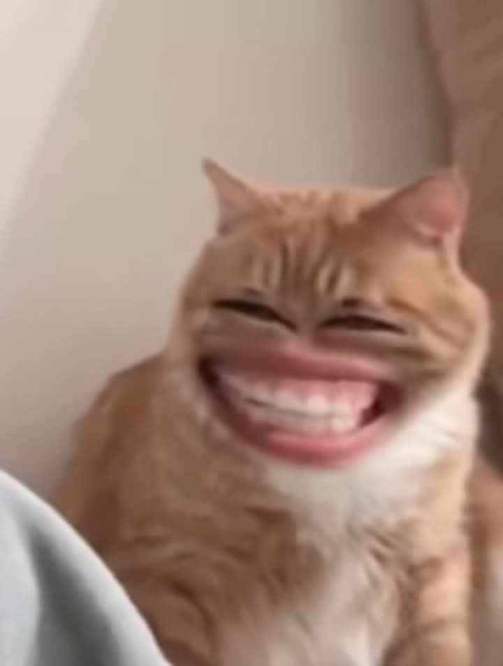 Meme Cười 13