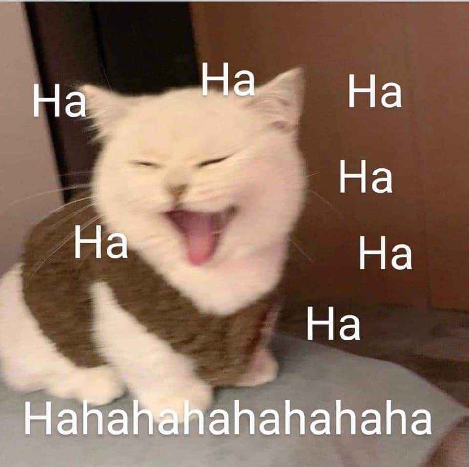 Meme Cười Đểu 17