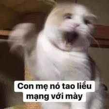 Meme Đánh Nhau 4