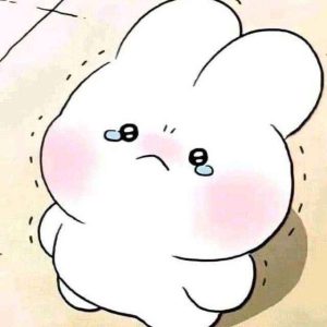 99+ Meme Dễ Thương Cho Ngày Thêm Tươi Vui
