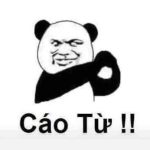 189+ Meme Gấu Trúc Cute Đốn Tim, Vừa Dễ Thương Vừa Mặn Mòi