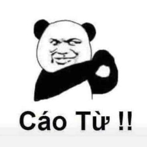 189+ Meme Gấu Trúc Cute Đốn Tim, Vừa Dễ Thương Vừa Mặn Mòi
