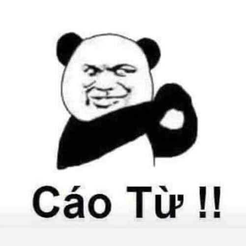 Meme gấu trúc cute 1