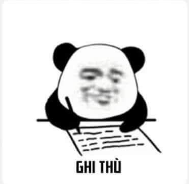 Gấu Trúc Meme 14