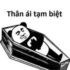 Meme gấu trúc cute 4