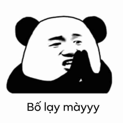 Meme gấu trúc cute 5