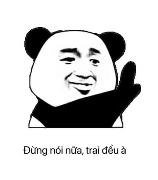 Gấu Trúc Meme 10