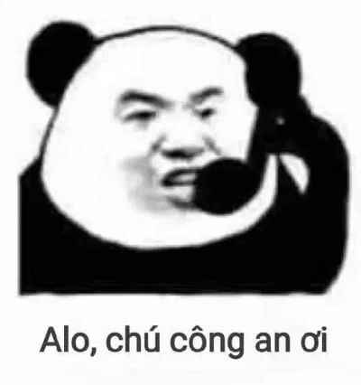 Meme gấu trúc cute 7