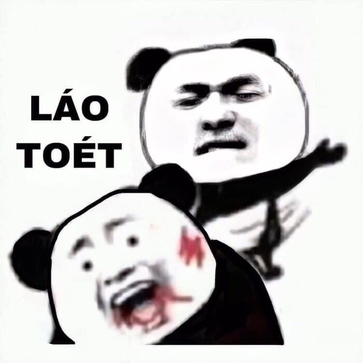 Gấu Trúc Meme 12