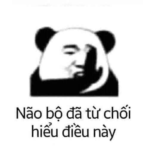 Meme gấu trúc cute 9
