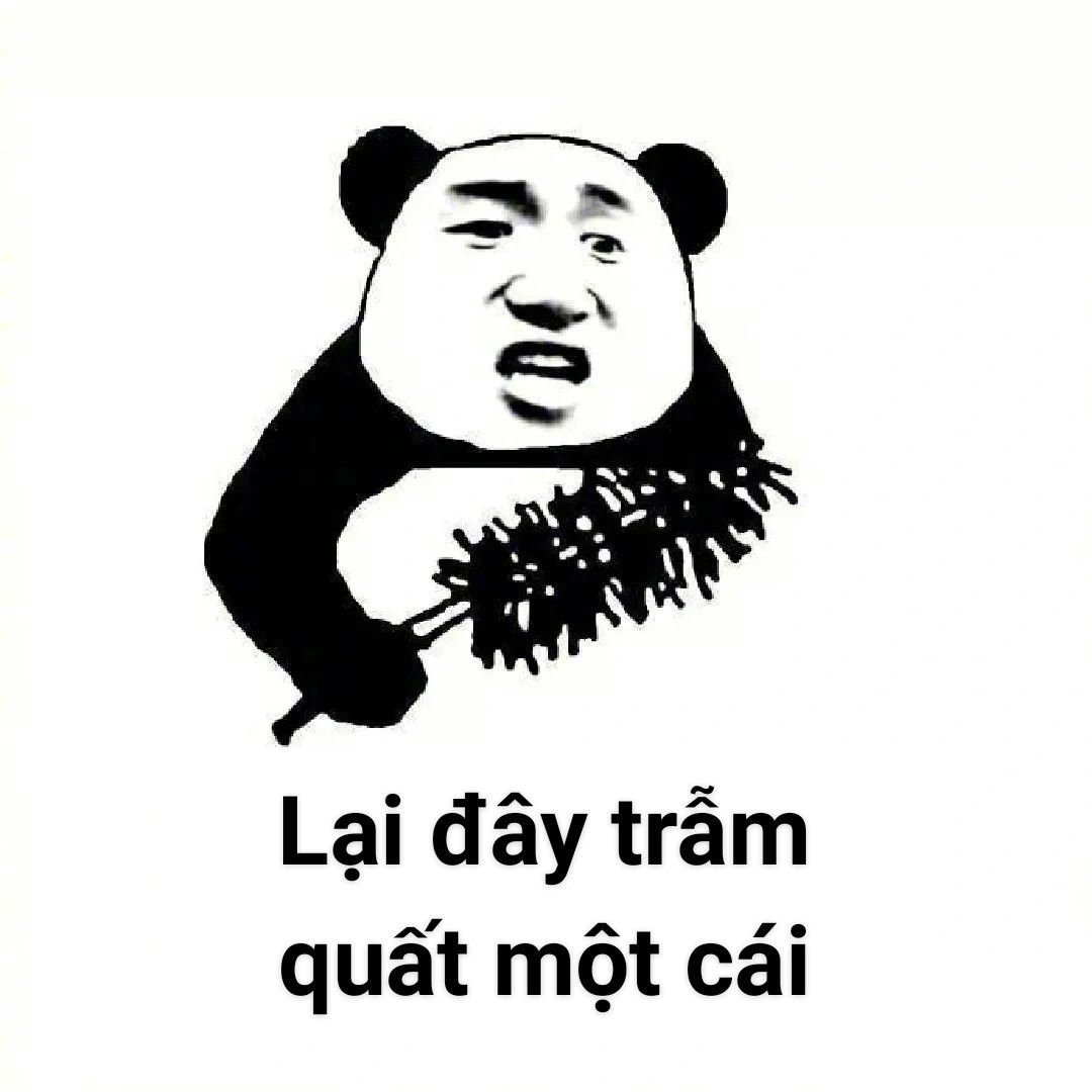 Gấu Trúc Meme 6