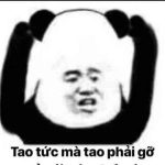 Hơn 189+ Meme Gấu Trúc Hài Hước và Đáng Yêu Nhất Cho Bạn