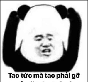 Hơn 189+ Meme Gấu Trúc Hài Hước và Đáng Yêu Nhất Cho Bạn