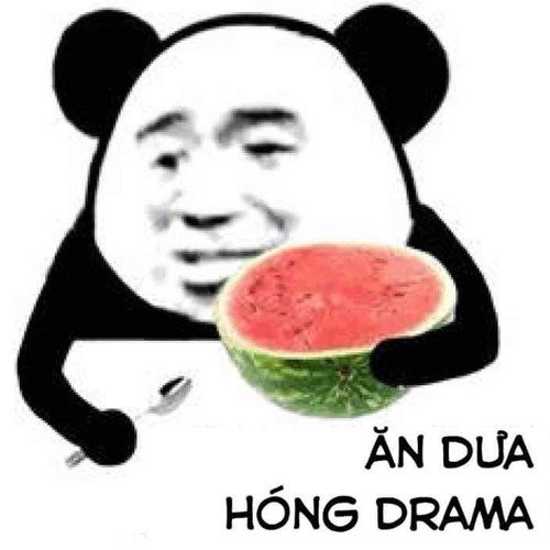 Gấu Trúc Meme 11