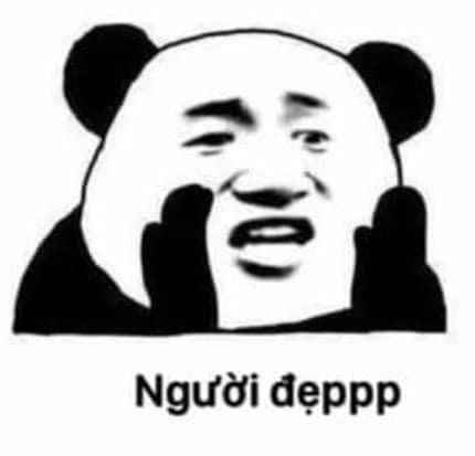 Meme gấu trúc cute 11