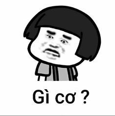 Gấu Trúc Meme 8