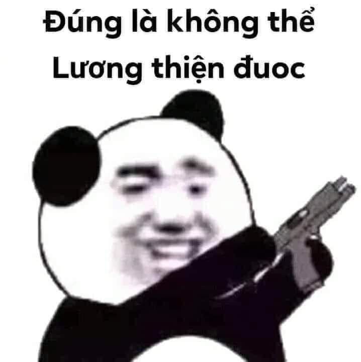 Gấu Trúc Meme 4