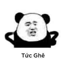 Meme gấu trúc cute 14