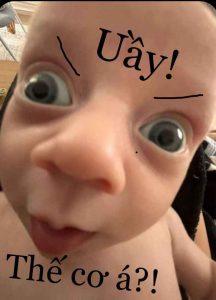 199+ Meme Hài Hước Đỉnh Cao Cho Ngày Thêm Vui Tươi