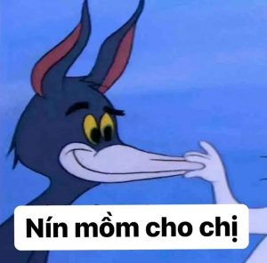 1454+ Meme Hài Bựa: Cười Thả Ga Với Bộ Sưu Tập Bất Tận