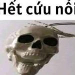179+ Meme Hết Cứu Độc Đáo: Khi Cuộc Sống Không Còn Là Chính Nó