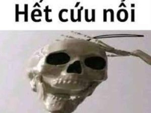 179+ Meme Hết Cứu Độc Đáo: Khi Cuộc Sống Không Còn Là Chính Nó