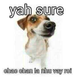 Hết Cứu 13