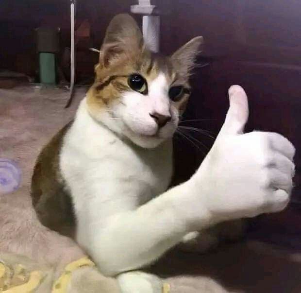 Meme like 2