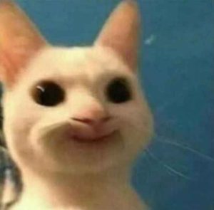 179+ Meme Mèo Hài Hước Khiến Bạn Cười Không Ngớt