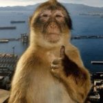 199+ Meme Ok Siêu Hài Hước: Cười Thả Ga Với Biểu Cảm Kinh Điển