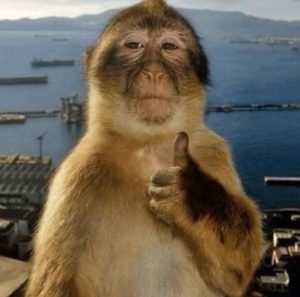 199+ Meme Ok Siêu Hài Hước: Cười Thả Ga Với Biểu Cảm Kinh Điển