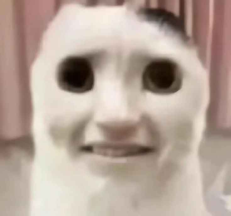 Meme sợ hãi 18