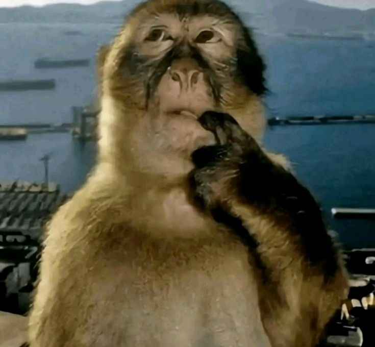 Meme suy nghĩ 7