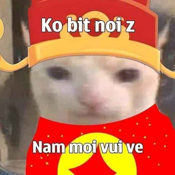 Meme Tết 3