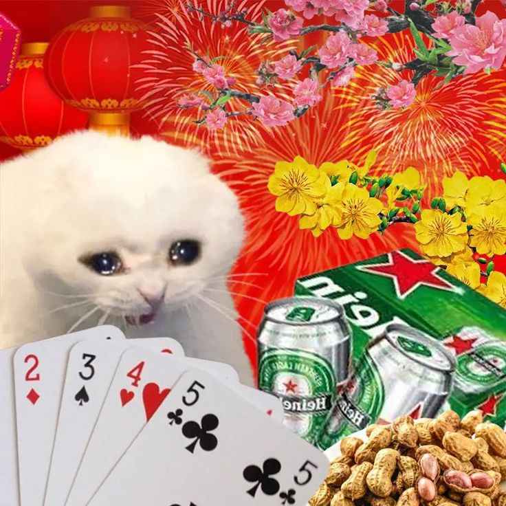 Meme Tết 10