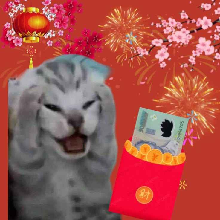 Meme Tết 15