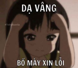 1096+ Meme Xin Lỗi Hài Hước, Cứu Cánh Cho Mọi Tình Huống