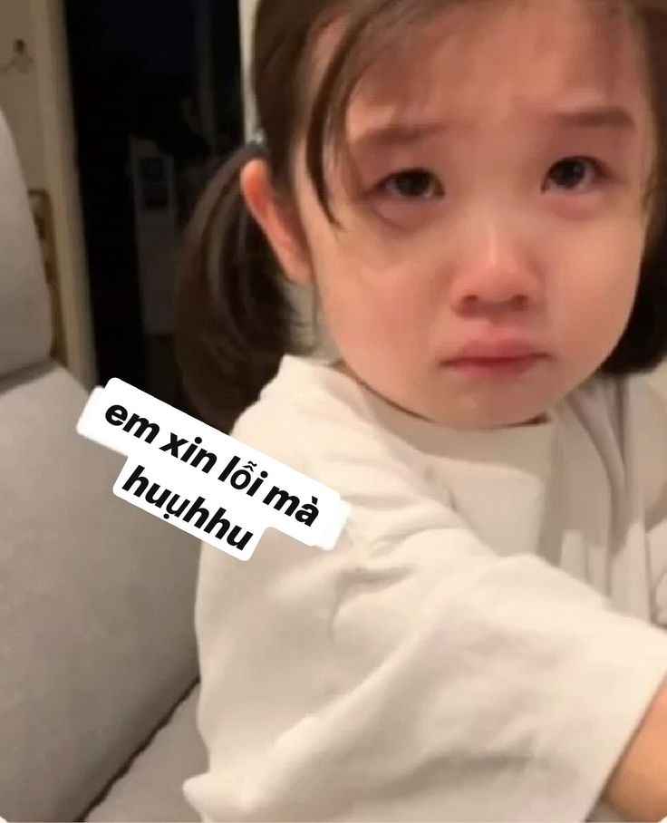 Meme xin lỗi 16