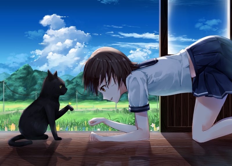 mèo anime 34